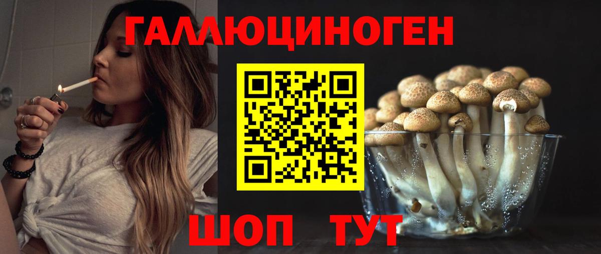 Галлюциногенные грибы Psilocybe  Вход с VPN  Троицк 